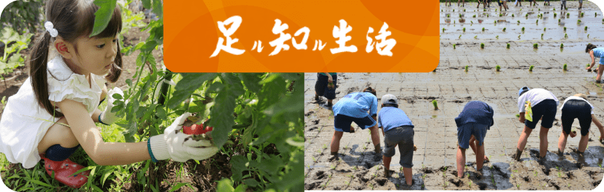 足ル知ル生活