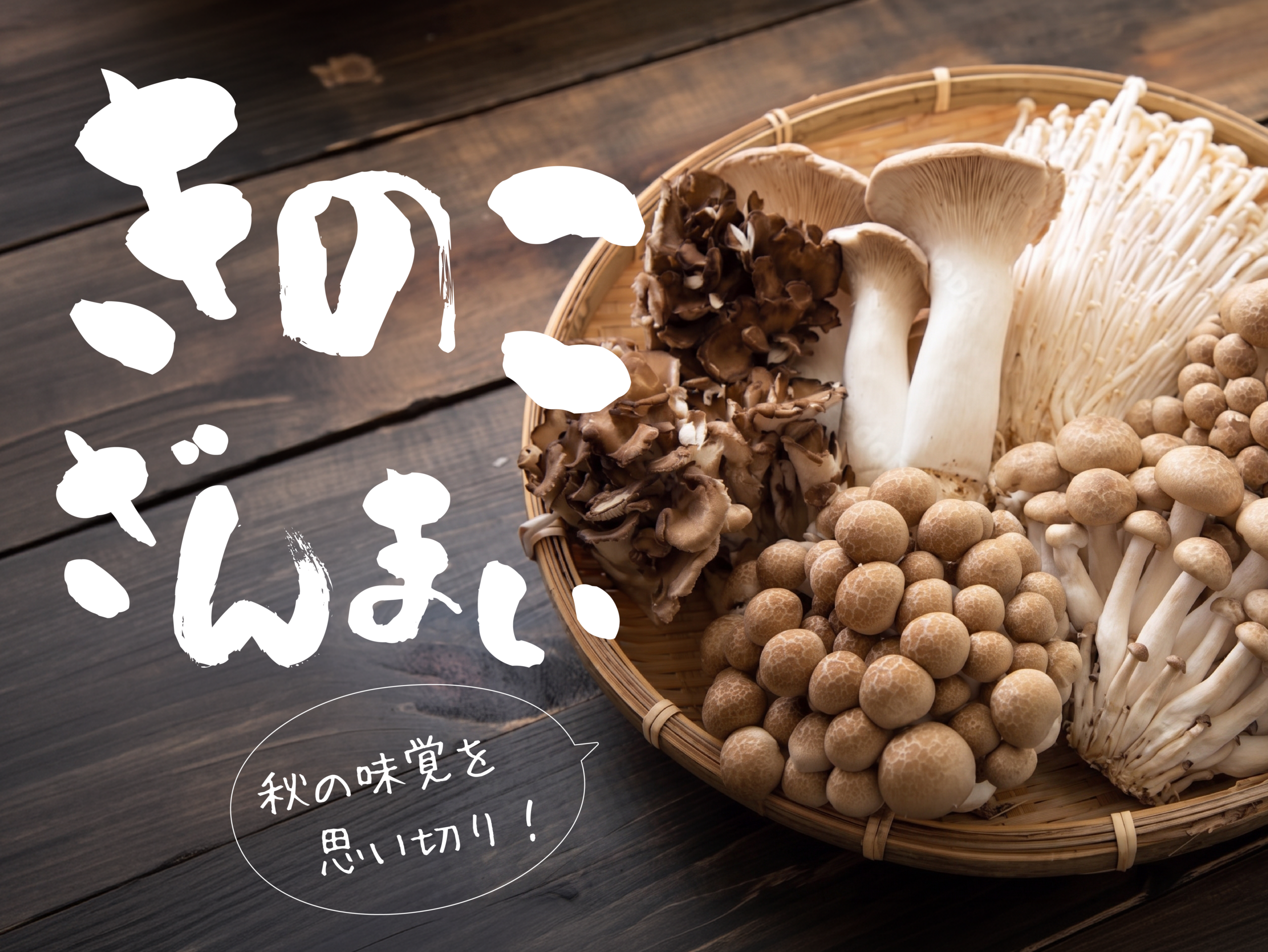 9/9-9/15 きのこざんまい